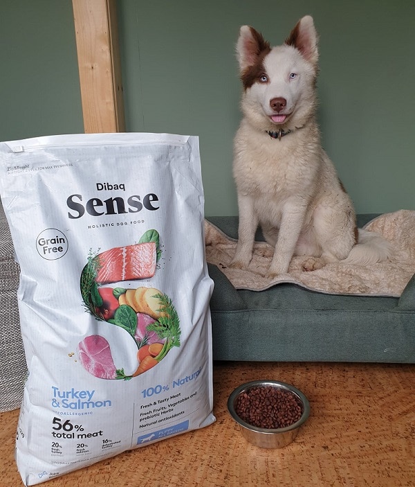 Dibaq sense puppyvoeding