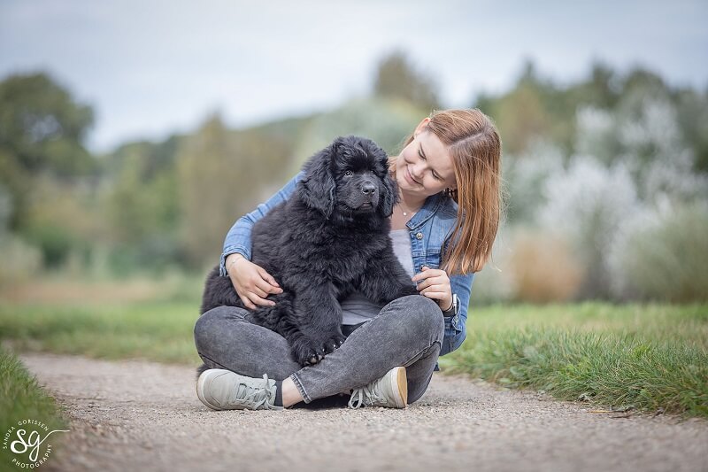 Fotoshoot met puppy Novi