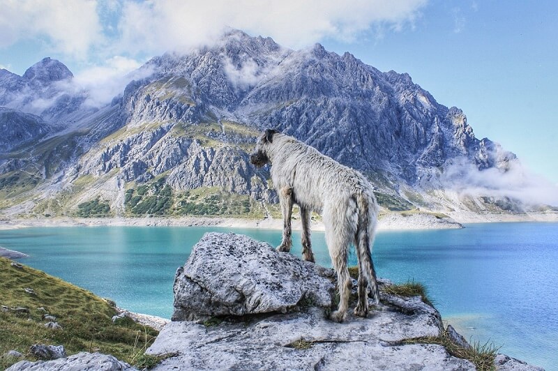 Een prachtig uitzicht van de Lünersee in Oostenrijk