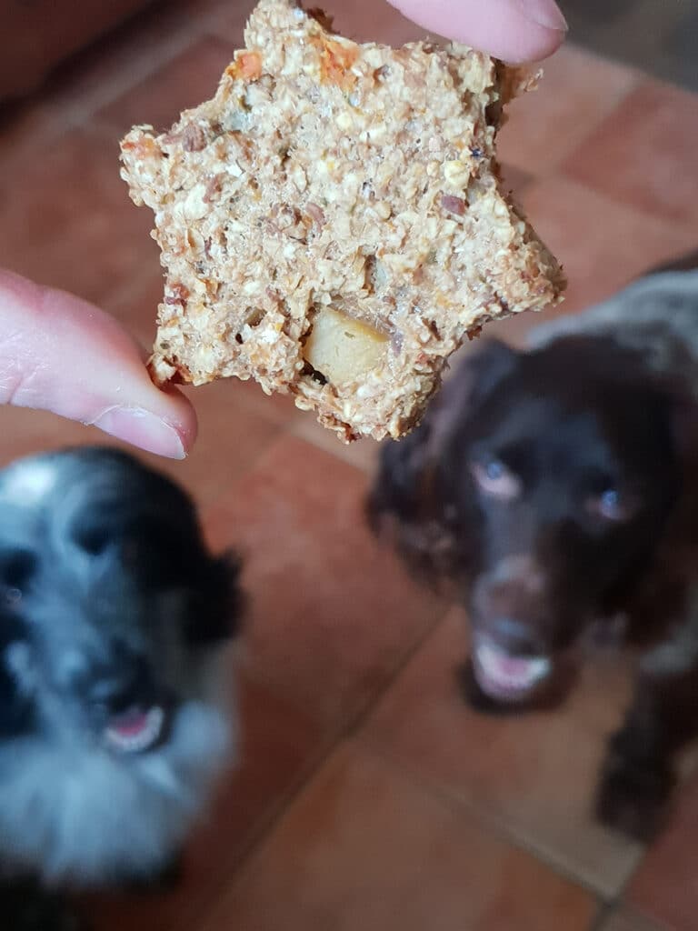 kerstkoekjes voor de hond