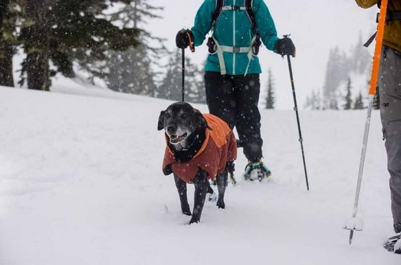 Ruffwear winterjas voor de hond