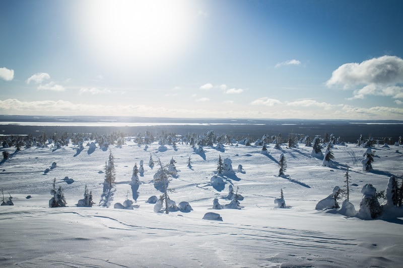 Prachtige landschap van Finland