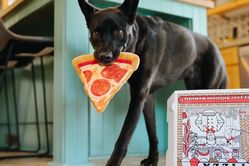 Play pizza hond