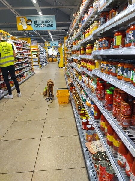 Hond in de supermarkt