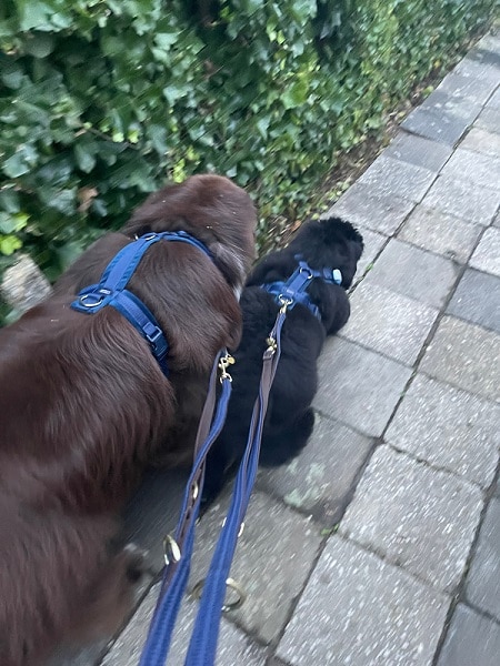 Samen wandelen