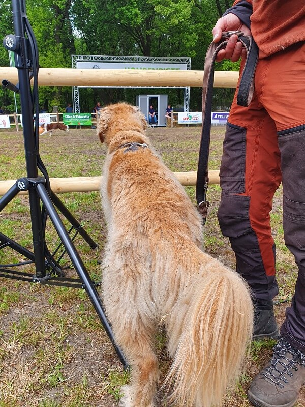 Animal Event demonstratie kijken