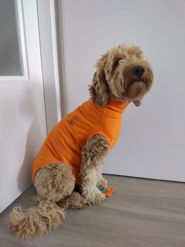 Freeshaping Medical Pet shirt