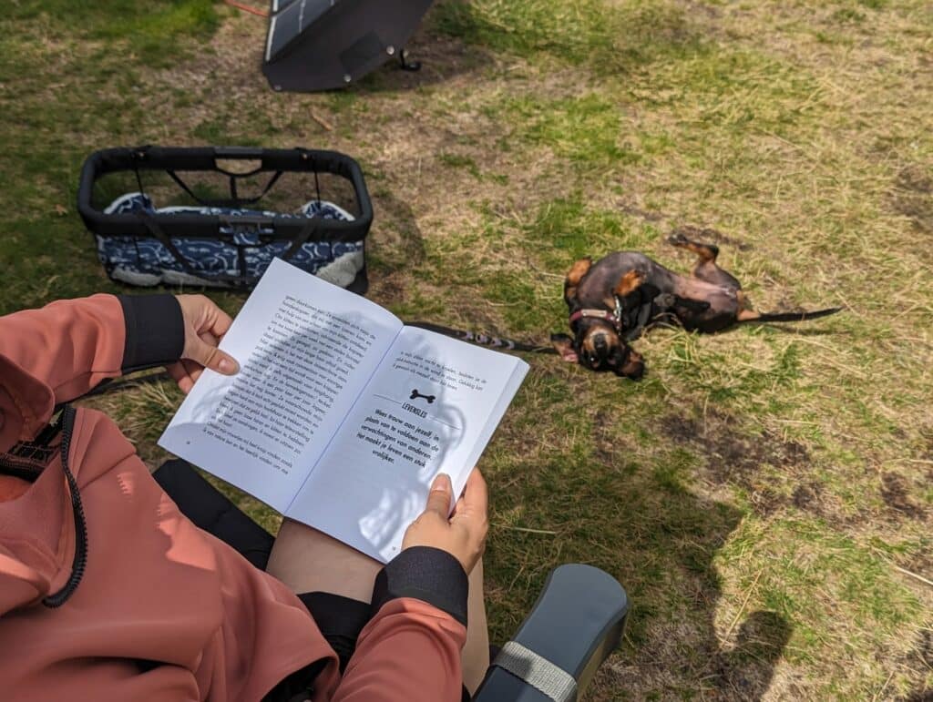 Er kan er maar één de baas zijn - review Plint 1