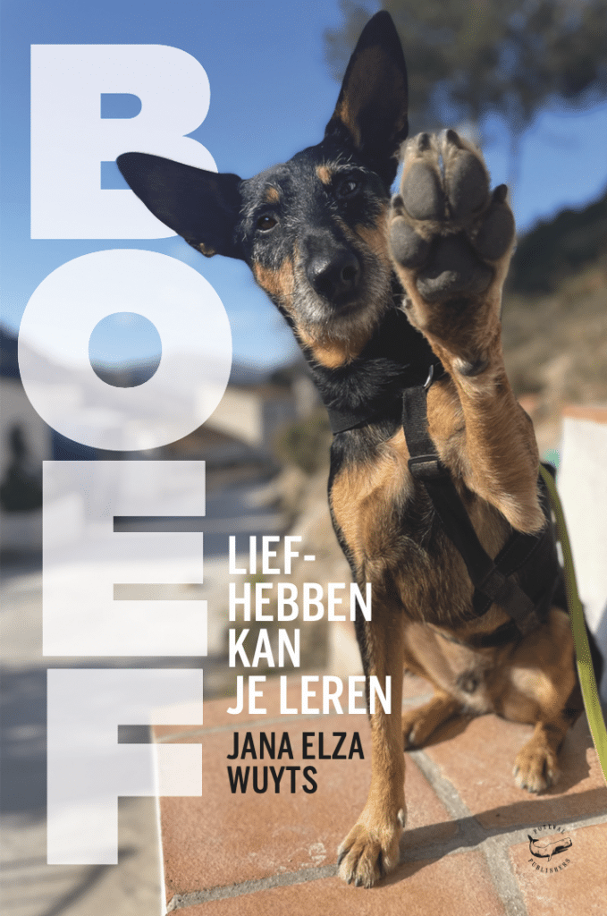 Afbeelding van de cover van het boek "Boef. Liefhebben kun je leren"