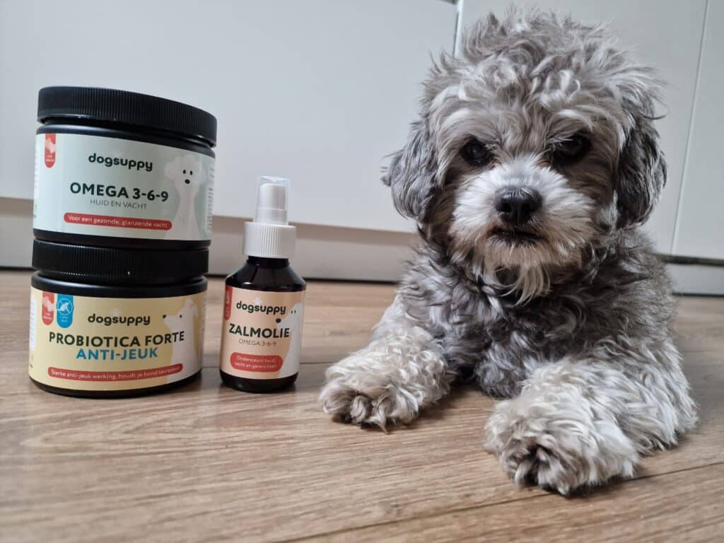 Hond Tommy toon DogSuppy supplementen